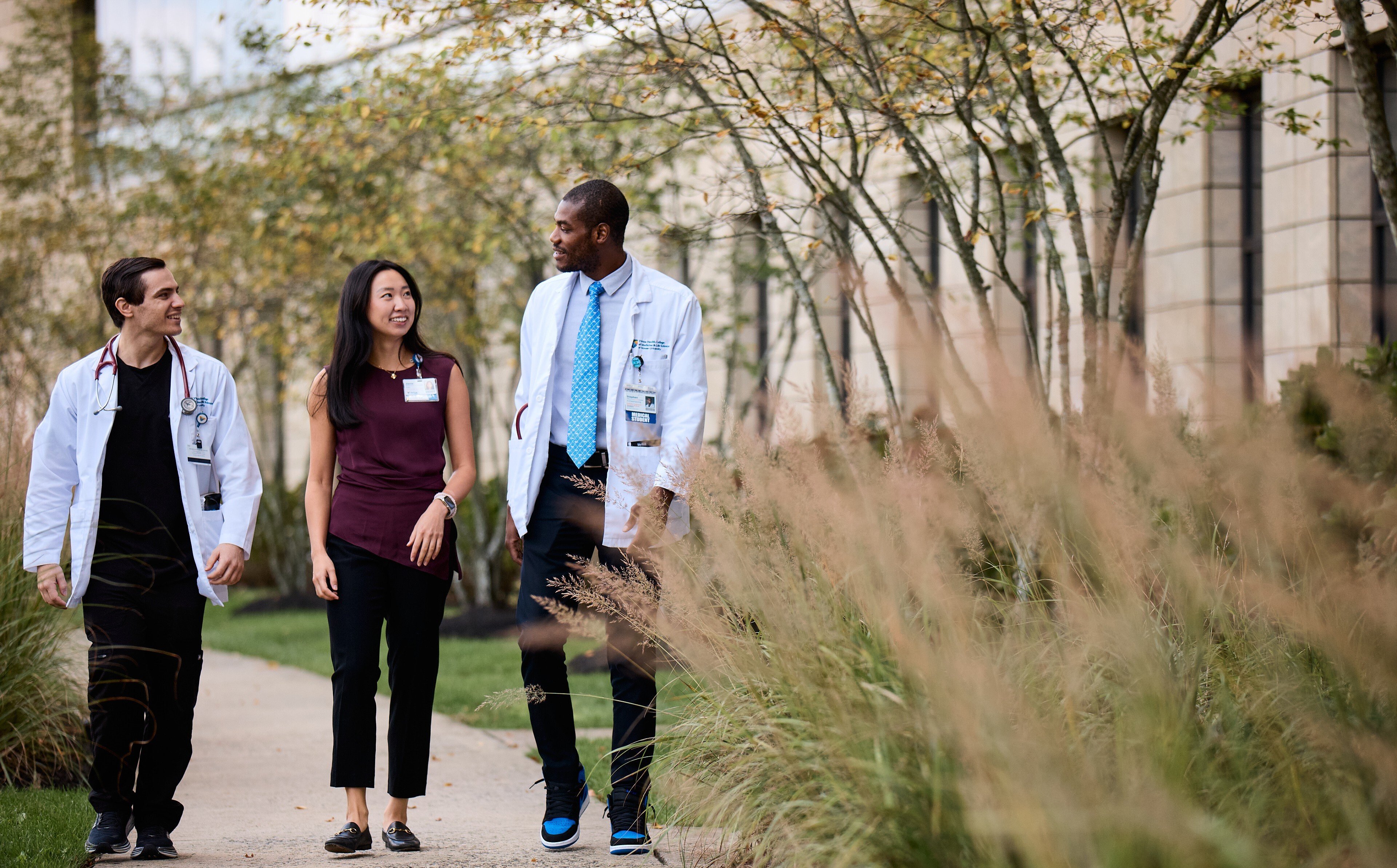 M.S. in Healthcare Management Online